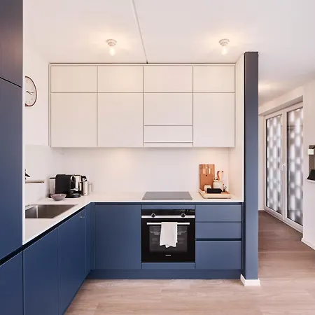 Design Color Leer